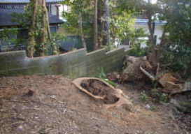 鎌倉市台風被害時の樹木倒木、伐採