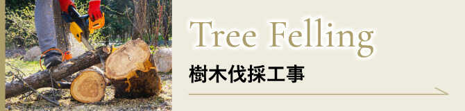 Tree Felling　樹木伐採工事